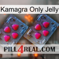 Kamagra Only Jelly 14